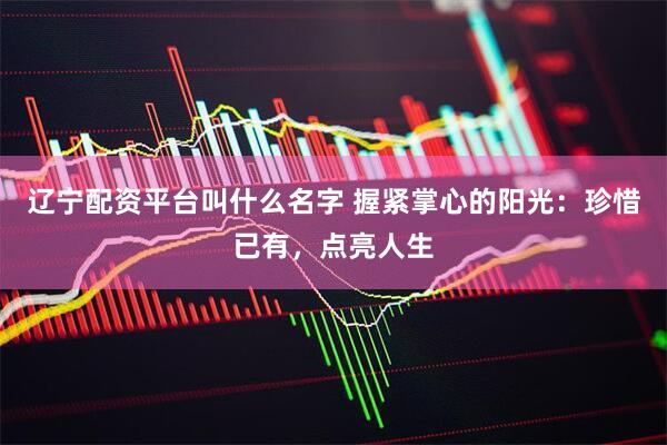 辽宁配资平台叫什么名字 握紧掌心的阳光：珍惜已有，点亮人生